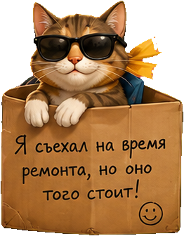 Кот Рембригады в коробке